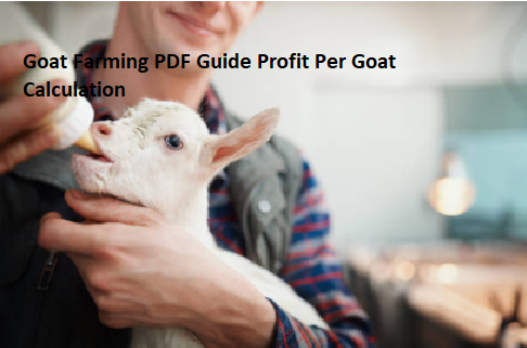 Goat Farming PDF Guide Profit Per Goat Calculation