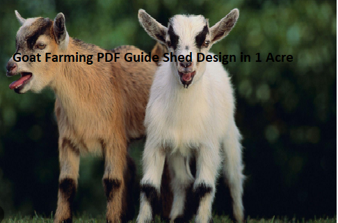 Goat Farming PDF Guide Shed Design in 1 Acre