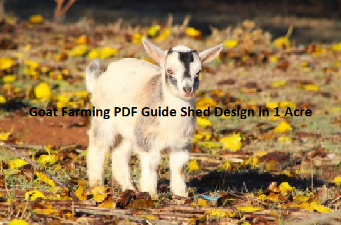 Goat Farming PDF Guide Shed Design in 1 Acre