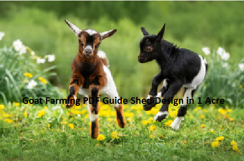 Goat Farming PDF Guide Shed Design in 1 Acre