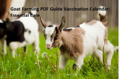 Goat Farming PDF Guide Vaccination Calendar: Essential Care