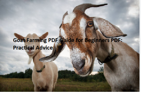 Goat Farming PDF Guide for Beginners PDF: Practical Advice