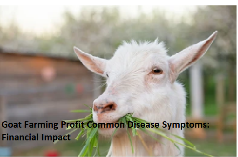 Goat Farming Profit Common Disease Symptoms: Financial Impact