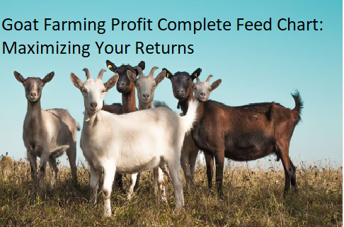 Goat Farming Profit Complete Feed Chart: Maximizing Your Returns