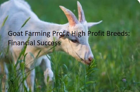 Goat Farming Profit High Profit Breeds: Financial Success