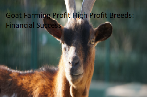 Goat Farming Profit High Profit Breeds: Financial Success Goat Farming Profit High Profit Breeds: Financial Success