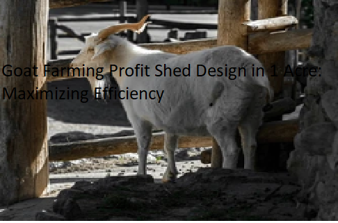 Goat Farming Profit Shed Design in 1 Acre: Maximizing Efficiency