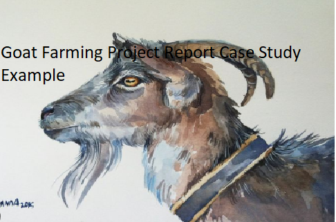 Goat Farming Project Report Case Study Example