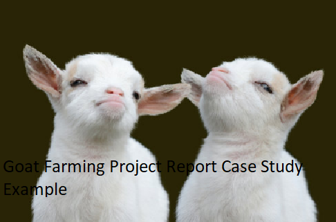 Goat Farming Project Report Case Study Example