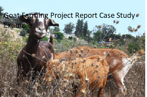 Goat Farming Project Report Case Study Example Goat Farming Project Report Case Study Example