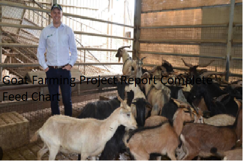 Goat Farming Project Report Complete Feed Chart Goat Farming Project Report Complete Feed Chart