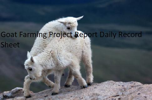 Goat Farming Project Report Daily Record Sheet