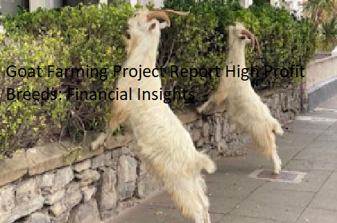 Goat Farming Project Report High Profit Breeds: Financial Insights