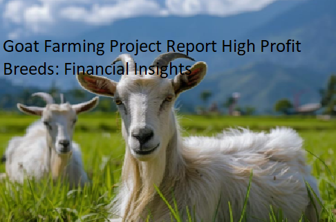Goat Farming Project Report High Profit Breeds: Financial Insights
