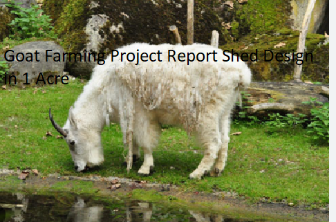 Goat Farming Project Report Shed Design in 1 Acre