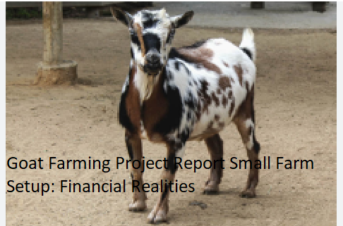 Goat Farming Project Report Small Farm Setup: Financial Realities