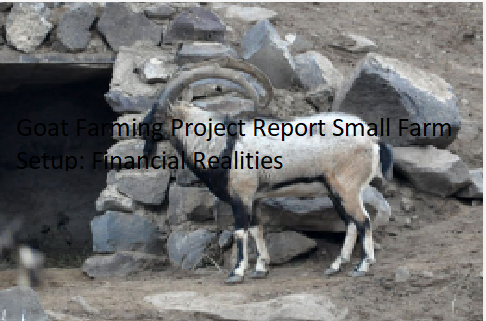 Goat Farming Project Report Small Farm Setup: Financial Realities