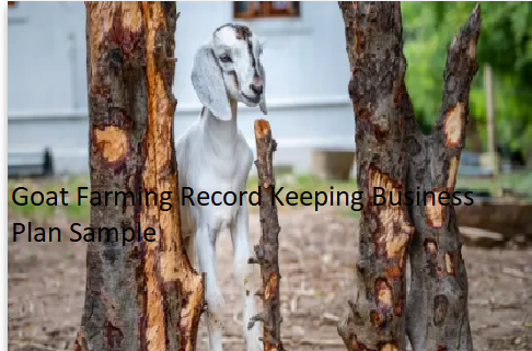 Goat Farming Record Keeping Business Plan Sample
