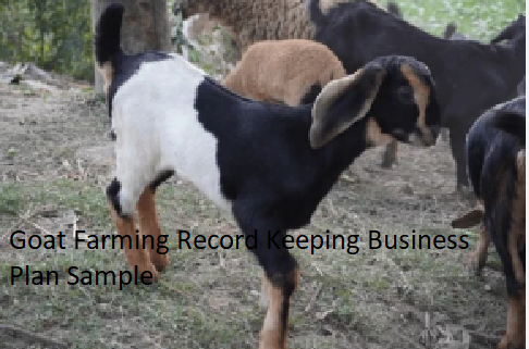 Goat Farming Record Keeping Business Plan Sample