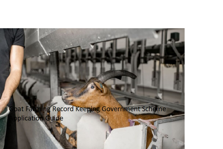 Goat Farming Record Keeping Government Scheme Application GuideGoat Farming Record Keeping Government Scheme Application Guide