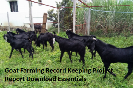 Goat Farming Record Keeping Project Report Download Essentials