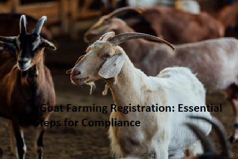 Goat Farming Registration: Essential Steps for Compliance Goat Farming Registration: Essential Steps for Compliance