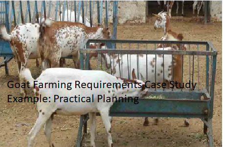 Goat Farming Requirements Case Study Example: Practical Planning