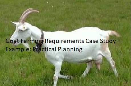 Goat Farming Requirements Case Study Example: Practical Planning Goat Farming Requirements Case Study Example: Practical Planning