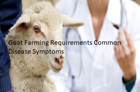 Goat Farming Requirements Common Disease Symptoms Goat Farming Requirements Common Disease Symptoms