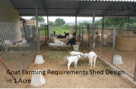Goat Farming Requirements Shed Design in 1 Acre