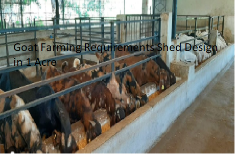 Goat Farming Requirements Shed Design in 1 Acre
