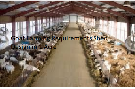 Goat Farming Requirements Shed Design in 1 Acre