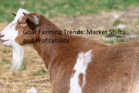 Goat Farming Trends: Market Shifts and Profitability Goat Farming Trends: Market Shifts and Profitability