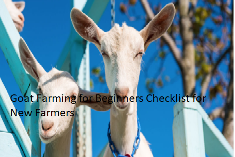 Goat Farming for Beginners Checklist for New Farmers Goat Farming for Beginners Checklist for New Farmers