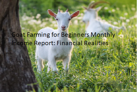 Goat Farming for Beginners Monthly Income Report: Financial Realities Goat Farming for Beginners Monthly Income Report: Financial Realities