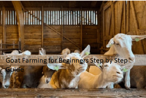 Goat Farming for Beginners Step by Step Guide Goat Farming for Beginners Step by Step Guide