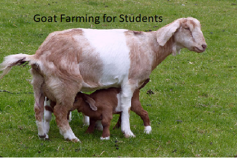 Goat Farming for Students Goat Farming for Students