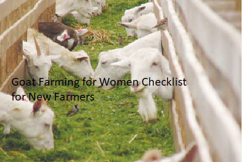 Goat Farming for Women Checklist for New Farmers Goat Farming for Women Checklist for New Farmers