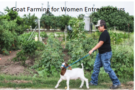 Goat Farming for Retirees: Practical Steps to Success Goat Farming for Women Entrepreneurs