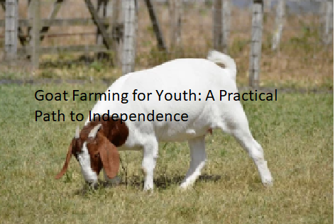 Goat Farming for Women Entrepreneurs Goat Farming for Youth: A Practical Path to Independence