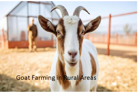 Goat Farming in Rural Areas Goat Farming in Rural Areas