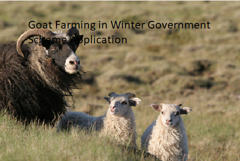 Goat Farming in Winter Government Scheme Application Goat Farming in Winter Government Scheme Application