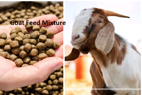 Goat Feed Mixture Goat Feed Mixture