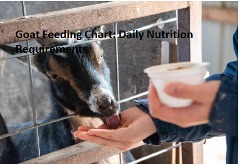 Goat Feeding Chart: Daily Nutrition Requirements Goat Feeding Chart: Daily Nutrition Requirements