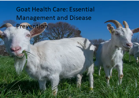 Goat Health Care: Essential Management and Disease Prevention Goat Health Care: Essential Management and Disease Prevention