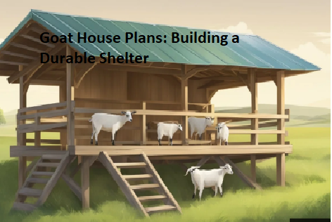 Goat House Plans: Building a Durable Shelter Goat House Plans: Building a Durable Shelter