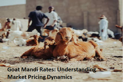 Goat Mandi Rates: Understanding Market Pricing Dynamics Goat Mandi Rates: Understanding Market Pricing Dynamics