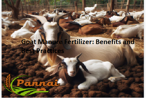 Goat Manure Fertilizer: Benefits and Best Practices Goat Manure Fertilizer: Benefits and Best Practices