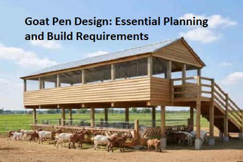 Goat Pen Design: Essential Planning and Build Requirements Goat Pen Design: Essential Planning and Build Requirements