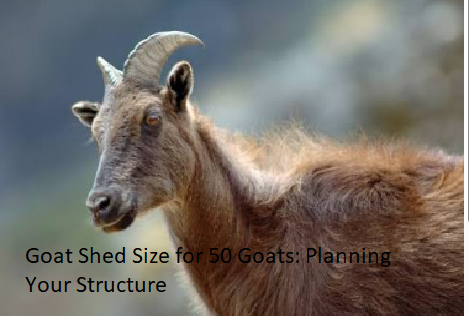 Goat Shed Size for 50 Goats: Planning Your Structure Goat Shed Size for 50 Goats: Planning Your Structure